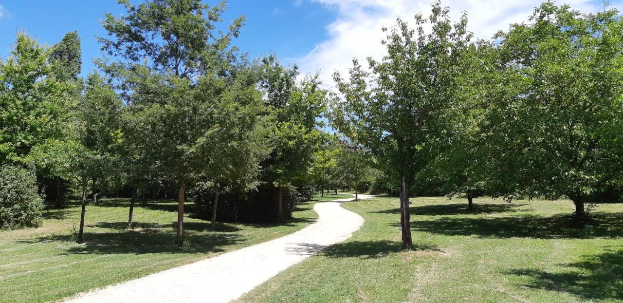 Charmant Logement Avec Piscine Bergerac Luaran gambar